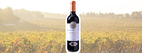 46 %-Rabatt auf präiertes Rotwein Paket Spanien - Nur 34,99 €