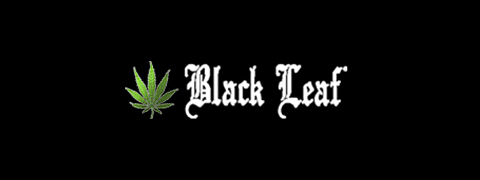 Black Leaf Black Leaf