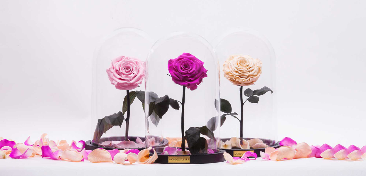 Rosen im Glas