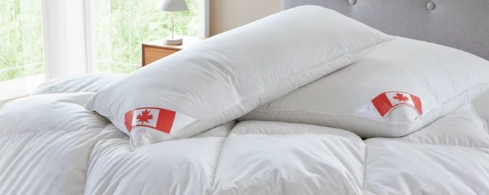 Sparen mit Matratzen Concord Gutscheinen