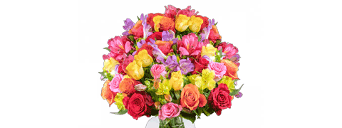 30 Stiele "Blumenfreude" mit bis zu 60 Blüten zum Bestpreis 30 Stiele "Blumenfreude" mit bis zu 60 Blüten zum Bestpreis