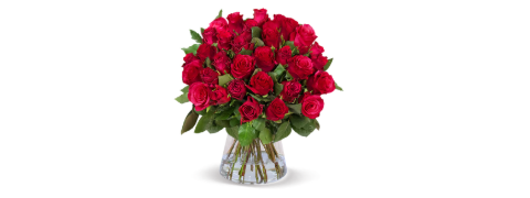 50 rote Rosen - bis zu 50% reduziert | Blume Ideal Gutschein 50 rote Rosen - bis zu 50% reduziert | Blume Ideal Gutschein