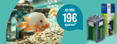 ZooRoyal Gutschein: Frische für deine Fische - 19 € Rabatt auf Filter