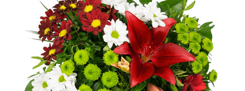 15% Rabatt sichern mit dem Blume Ideal Gutschein 15% Rabatt sichern mit dem Blume Ideal Gutschein
