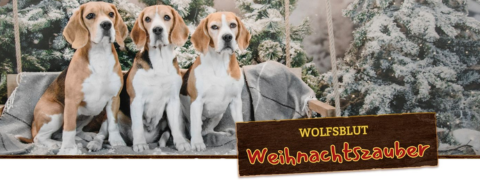 Wolfsblut Weihnachtszauber Gutschein: 12% Rabatt auf Zubehör!
