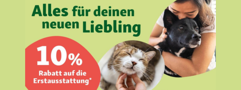 Willkommen, Katzenfreund: Sichere Dir 10% Ersparnis auf Dein erstes Katzenzubehör