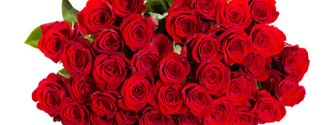 Blume Ideal Gutschein: 44 Rosen "ClassicRed" mit bis zu 43% Rabatt