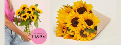 Bloomy Days Aktion: 7 Sonnenblumen jetzt für nur 8€