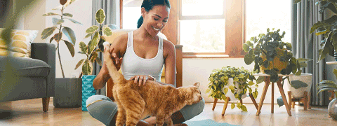 30 Tage gratis bei der Tierkrankenversicherung für Katzen