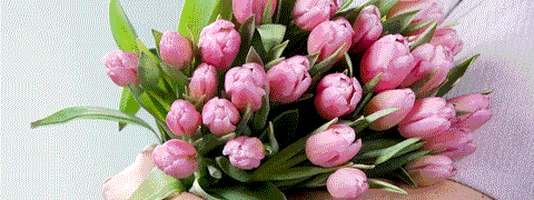 28% Blume2000 Gutschein: Rosa Tulpen  für nur 17,99€