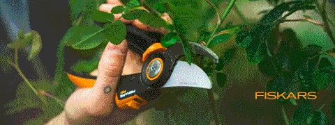 OBI Angebote: FISKARS Gartenwerkzeuge kaufen - Prämie sichern OBI Angebote: FISKARS Gartenwerkzeuge kaufen - Prämie sichern