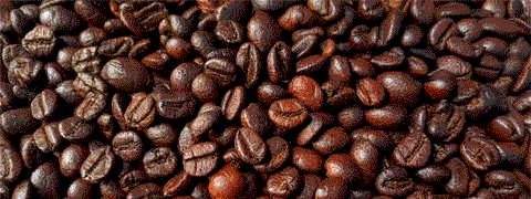 5% Amazon Gutschein auf Der-Franz Kaffee