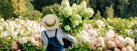 Bis zu 10% eBay Rabattcode auf Garten und Terassen! Bis zu 10% eBay Rabattcode auf Garten und Terassen!