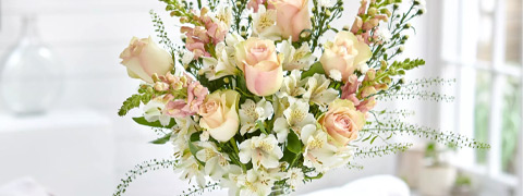 25% Bloom and Wild Rabatt für Studenten & Absolventen