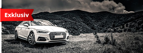 Exklusiv 3% Pkwteile.de Gutschein auf alles Exklusiv 3% Pkwteile.de Gutschein auf alles