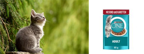 25% Rabatt auf PURINAONE für Neukunden mit dem zooplus Gutschein