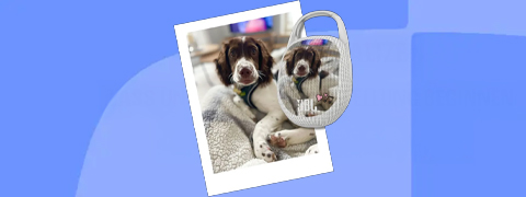 JBL Gutscheincode – 25% auf personalisierte Produkte