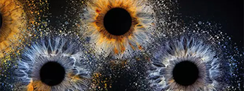 Groupon Gutschein Black Friday – Sichere dir die besten Deals des Jahres