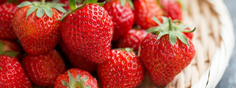 Bis zu 18% Rabatt auf Obstpflanzen | Ahrens und Sieberz Angebote