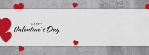 Scheppach Valentinstags Bestpreis-Angebote