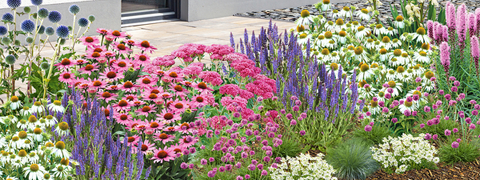 Dein MEIN SCHÖNER GARTEN Shop: Bis zu 20% Rabatt bei den Angeboten