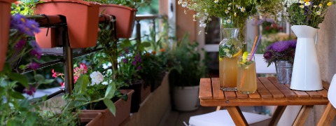 BAUR Gutschein: 15% Rabatt auf Garten & Balkon