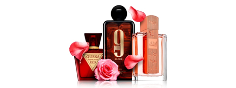 Bis zu 45% Rabatt im Brasty Parfum Sale sichern