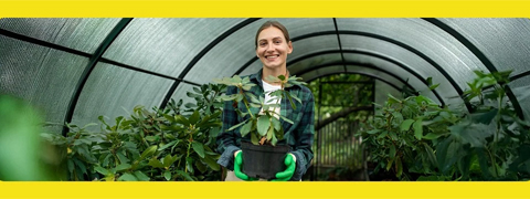 Bringe deinen Garten in Form mit 10% Rabatt durch den eBay Gutscheincode