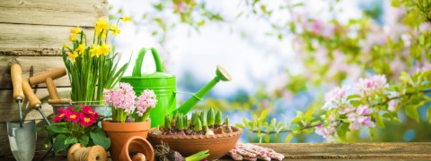 Norma24 Gutschein: Bis zu 70% Rabatt im „Frühling im Garten“ Sale