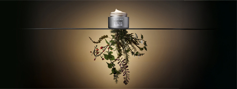 Gratis The Cure Cream sichern mit dem Babor Gutschein