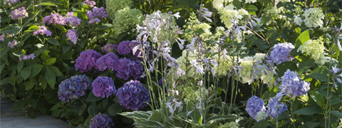 Bis zu 50% Rabatt und mehr mit dem Mein schöner Garten Gutschein