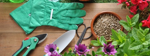 15% Rabatt auf Gartenartikel mit dem Netto Gutschein