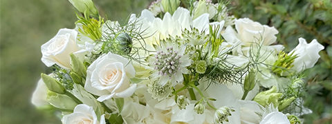 Bis zu 22% sparen mit den Blumenversand Edelweiss Angeboten