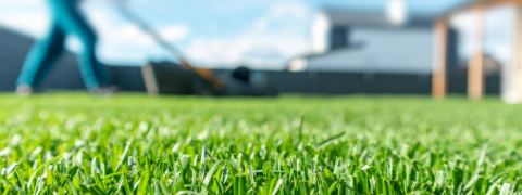 Exklusiver Rasendoktor Gutschein: 5% Extra-Ersparnis für Neukunden sichern