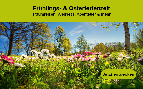 Spare jetzt bei deiner Frühlingsreise mit Cashback & Gutscheinen! Spare jetzt bei deiner Frühlingsreise mit Cashback & Gutscheinen!